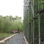 Verbeke Foundation